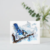 ブルージェイ冬 ポストカード (スタンド正面)