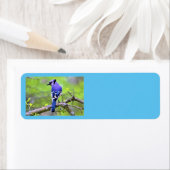 ブルージェイ差出人住所ラベルズバイレイオブライト ラベル (インサイチュ)