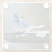 ブルージェイ絵画ズ – Bird Artオリジナル ガラスコースター (裏面)