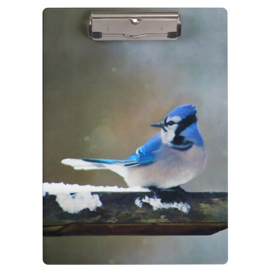 ブルージェイ絵画ズ – Bird Artオリジナル クリップボード (正面)
