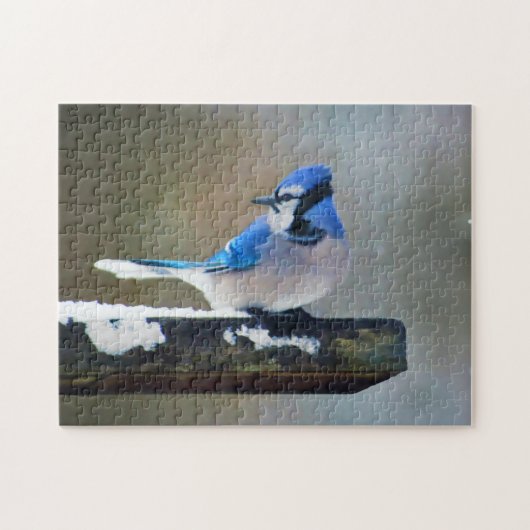 ブルージェイ絵画ズ – Bird Artオリジナル ジグソーパズル (横)