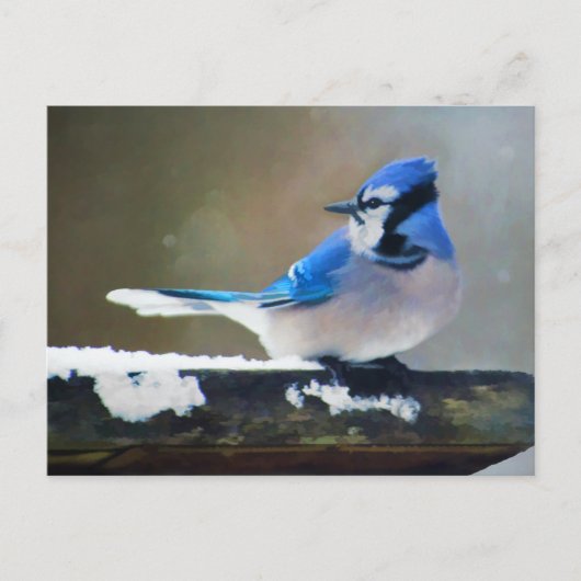 ブルージェイ絵画ズ – Bird Artオリジナル ポストカード (正面)