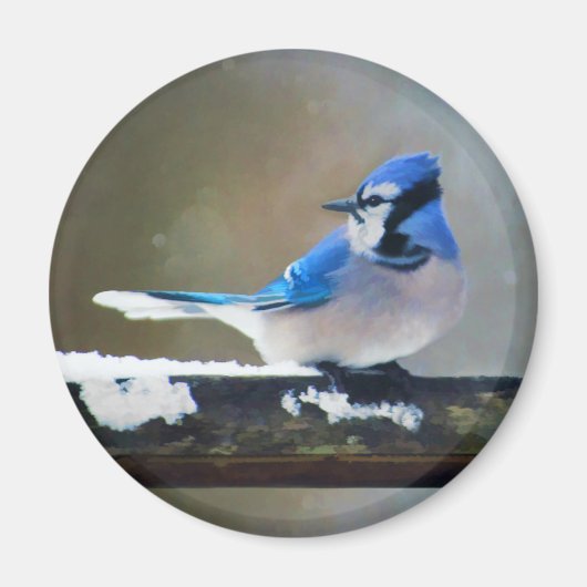 ブルージェイ絵画ズ – Bird Artオリジナル マグネット (正面)