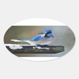 ブルージェイ絵画ズ – Bird Artオリジナル 楕円形シール