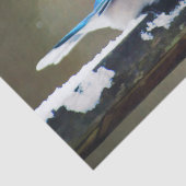 ブルージェイ絵画ズ – Bird Artオリジナル 薄葉紙 (詳細)