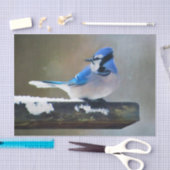 ブルージェイ絵画ズ – Bird Artオリジナル 薄葉紙 (クラフト)