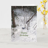 ブルージェイ誕生日 カード (黄色い花)