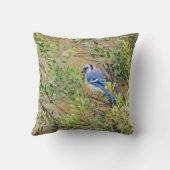 ブルージェイ・オン・サザンワックスマートル クッション (裏面)