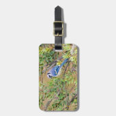 ブルージェイ・オン・サザンワックスマートル ラゲッジタグ (正面縦)