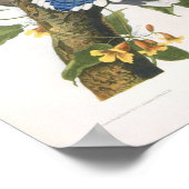 ブルージェイ,ジョンジェームズオードボンファインアート ポスター (角)