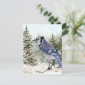 ブルージェイ スノー フォレスト クリスマス ホリデー 鳥 自然 (スタンド正面)