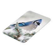 ブルージェイinブルーアトラス杉 マグネット (左側)