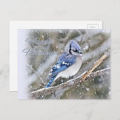 ブルージェイin雪のクリスマスホリデー シーズンポストカード (正面/裏面)