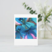 ブルージェラニウム ポストカード (スタンド正面)