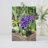 ブルージオキンス春 (スタンド正面)