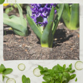 ブルージオキンス春 キッチンタオル (折り畳み)