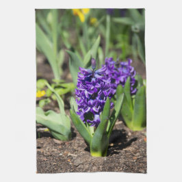 ブルージオキンス春 キッチンタオル