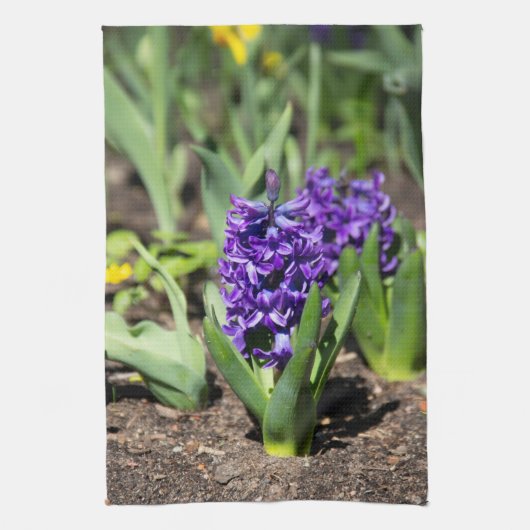 ブルージオキンス春 キッチンタオル (縦)