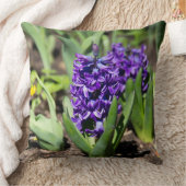 ブルージオキンス春 クッション (ブランケット)