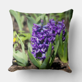 ブルージオキンス春 クッション