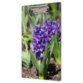 ブルージオキンス春 クリップボード (左)