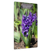 ブルージオキンス春 クリップボード (右)