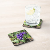 ブルージオキンス春 コースター (右側)