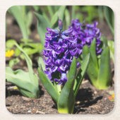 ブルージオキンス春 スクエアペーパーコースター (正面)