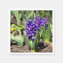 ブルージオキンス春 スタンダードカクテルナプキン