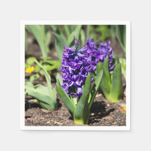 ブルージオキンス春 スタンダードカクテルナプキン (正面)