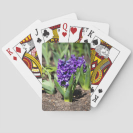 ブルージオキンス春 トランプ