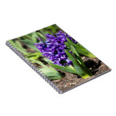 ブルージオキンス春 ノートブック (右側)