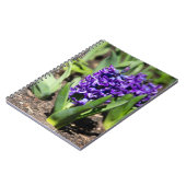 ブルージオキンス春 ノートブック (左側)