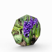 ブルージオキンス春 フォトブロック (左)