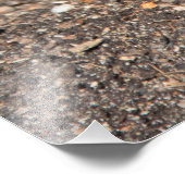 ブルージオキンス春 フォトプリント            (角)