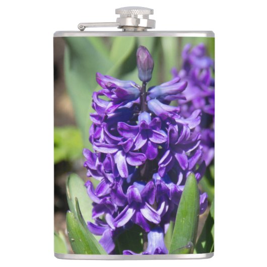 ブルージオキンス春 フラスク (正面)