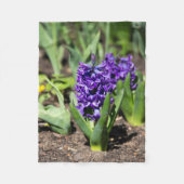 ブルージオキンス春 フリースブランケット (正面)