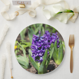 ブルージオキンス春 ペーパープレート