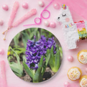 ブルージオキンス春 ペーパープレート (パーティー)