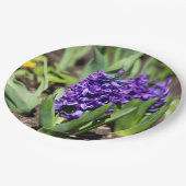 ブルージオキンス春 ペーパープレート (アングル)