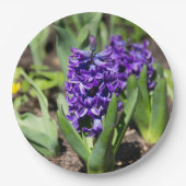 ブルージオキンス春 ペーパープレート (正面)