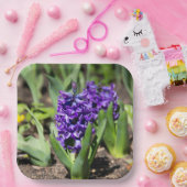 ブルージオキンス春 ペーパープレート (パーティー)