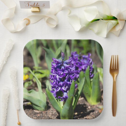 ブルージオキンス春 ペーパープレート (ウェディング)