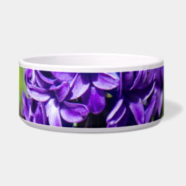 ブルージオキンス春 ボウル