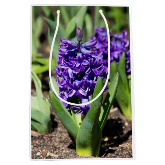 ブルージオキンス春 ミディアムペーパーバッグ (正面)