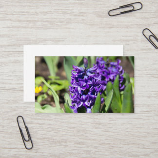 ブルージオキンス春 名刺