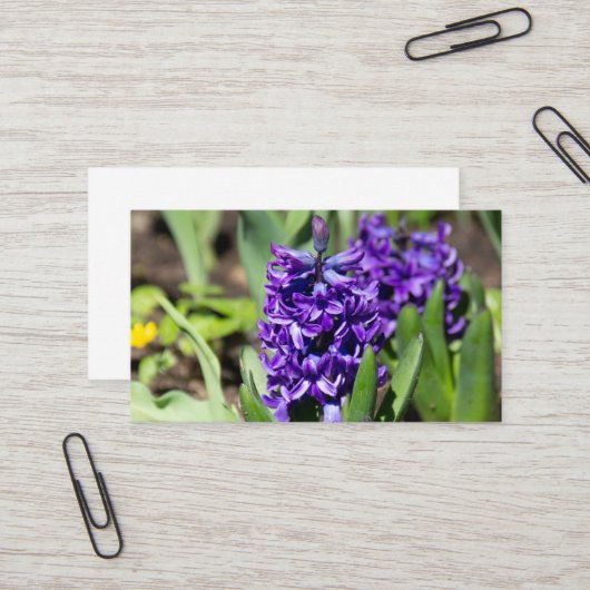 ブルージオキンス春 名刺 (正面/裏面インサイチュ)