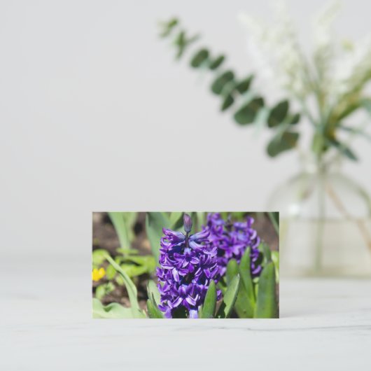 ブルージオキンス春 名刺 (スタンド正面)