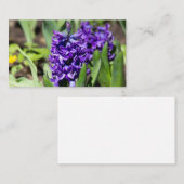 ブルージオキンス春 名刺 (正面/裏面)