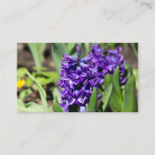 ブルージオキンス春 名刺 (正面)